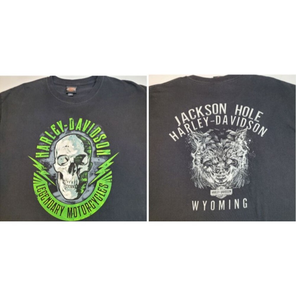 Harley Davidson Men's T Shirt L Black Green Skull Legendary Jackson Hole Wolf